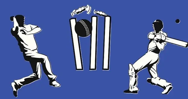 cricket rules