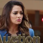 Auction Web Series