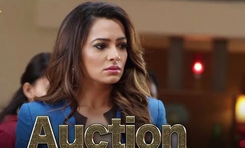 Auction Web Series