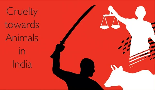 Laws Against Animal Cruelty in India