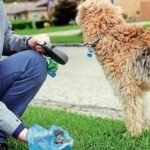 Against Dog Poop