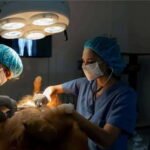 Minimally Invasive Veterinary Surgery